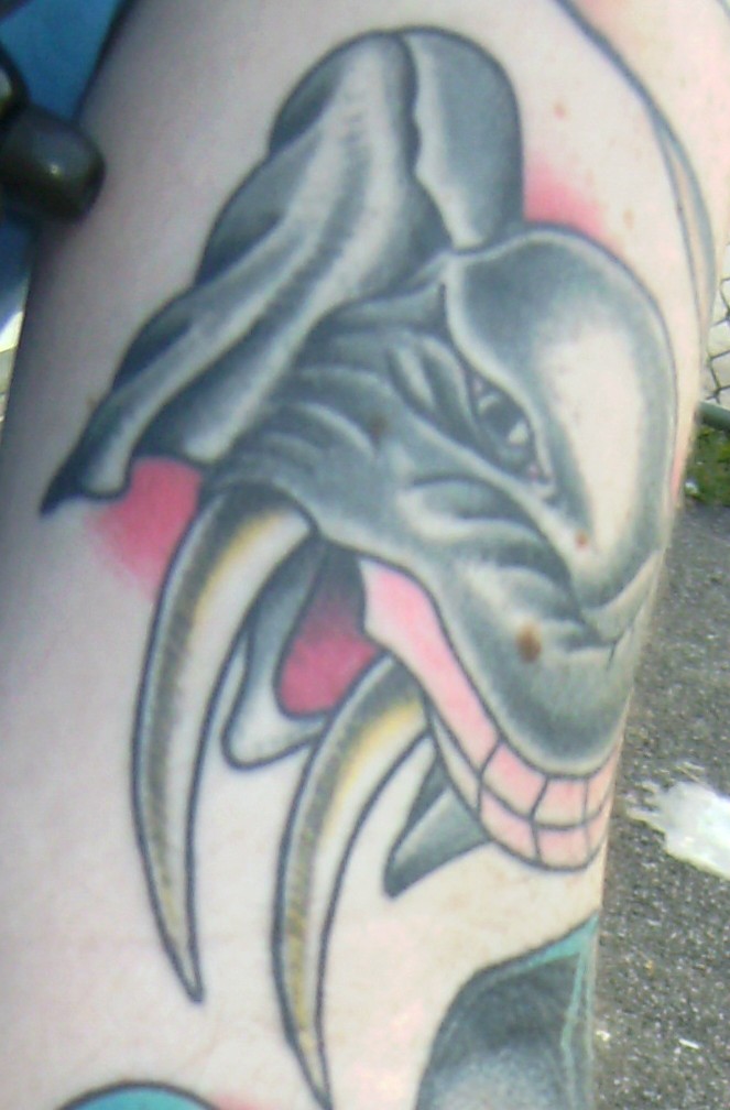 Then there is the elephant tattoo: He has this piece because "elephants 