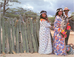 Ropas Típicas Wayuu