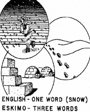 The Imaginary Museum: How many Eskimo words are there for snow? The Imaginary Museum: How many Eskimo words are there for snow?