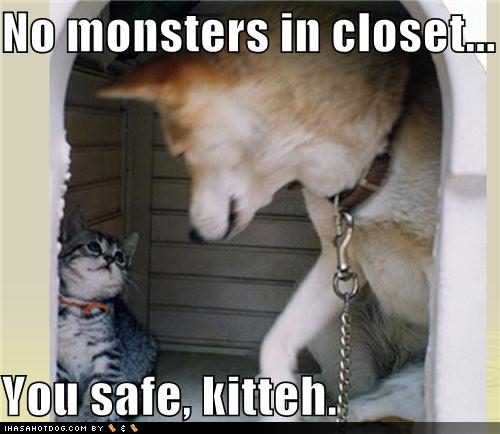 [funny-dog-pictures-no-monsters-in-closet.jpg]