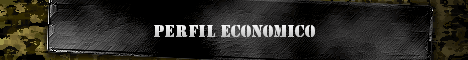 PERFIL ECONOMICO