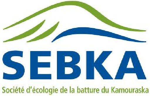 SEBKA 2010