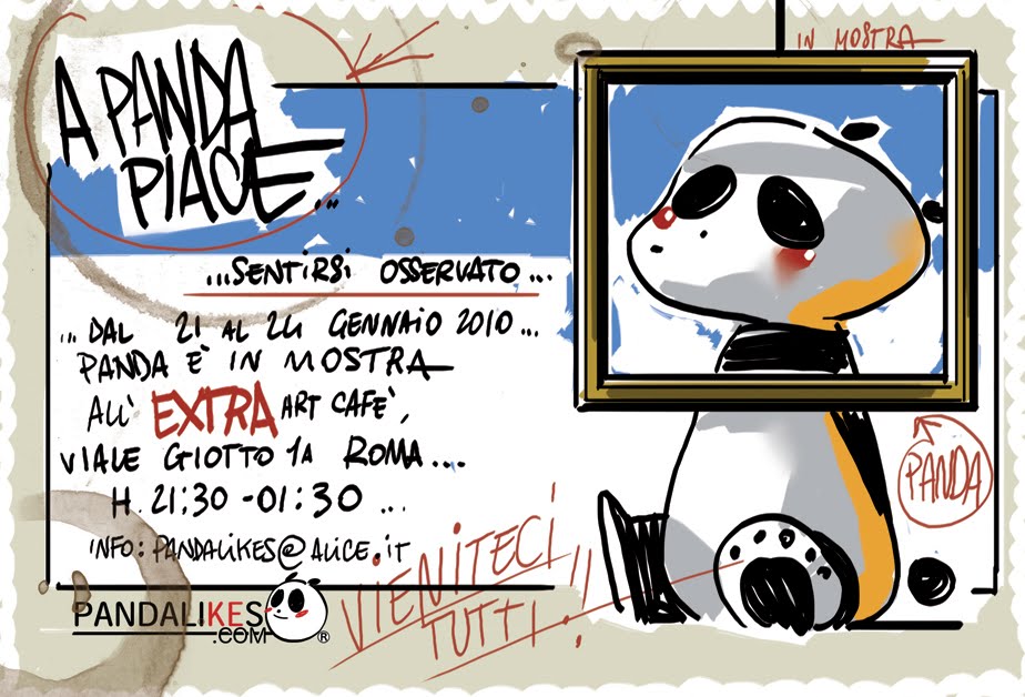 A Panda piace essere osservato!!!