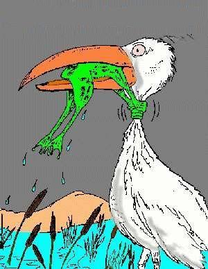 [komik-karikaturler.jpg]