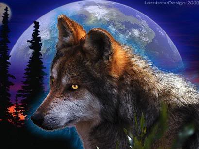 Moonrise~Amvi's Wolf
