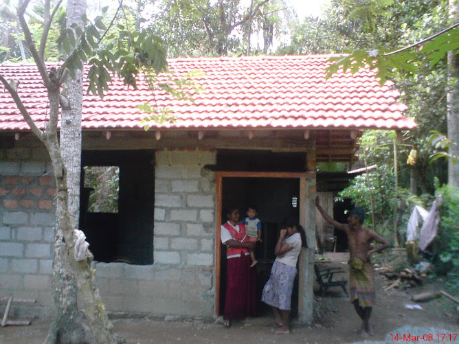 Et voila le toit finit