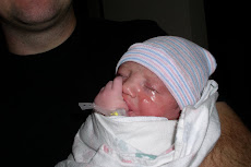 New Addition to the Family - 11/19