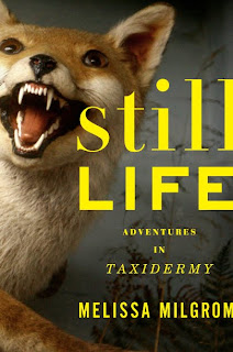 Still Life:  Adventures in Taxidermy