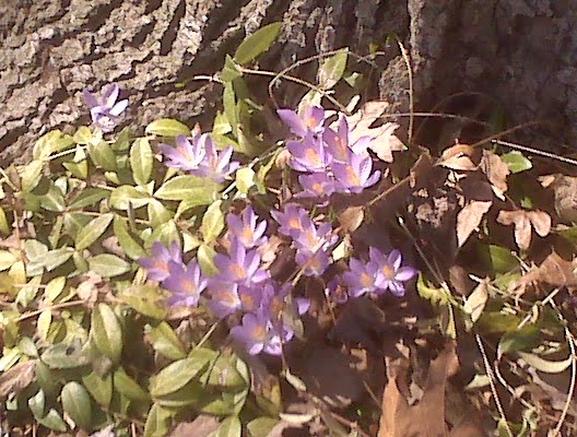 [=?utf-8?B?SU1HMDAxNTAuanBn?=-723169]