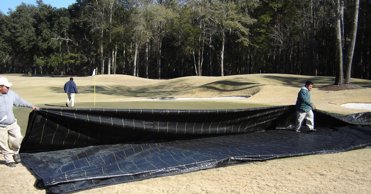 The Ford Plantation Club Agronomy Blog Putting Green Covers Help