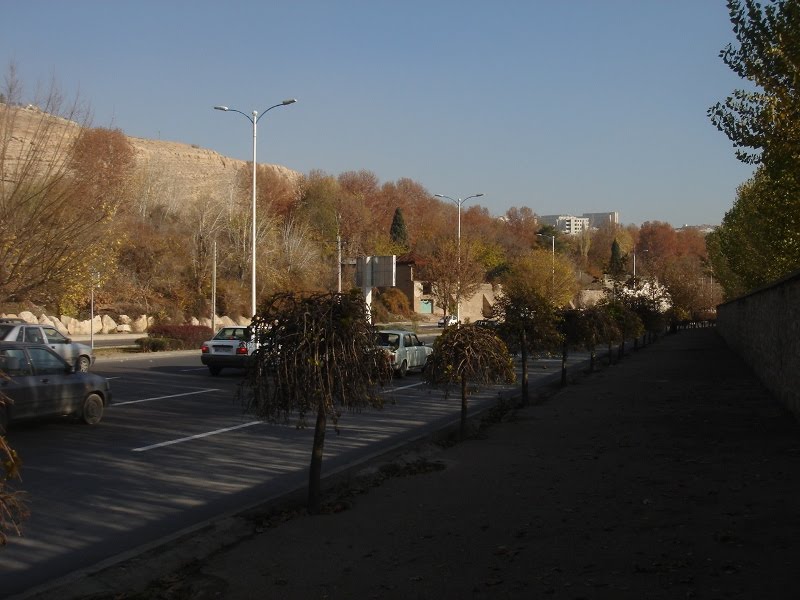[DSC00464.JPG]