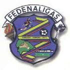 FEDENALIGAS