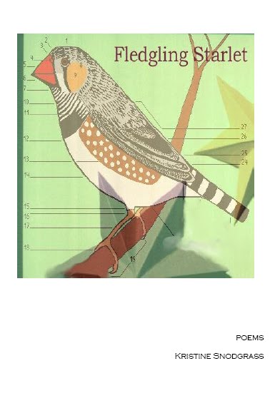 [fledgling.bmp]