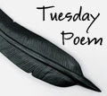 The official Tuesday Poem blog