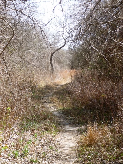 [5-Another+path.jpg]