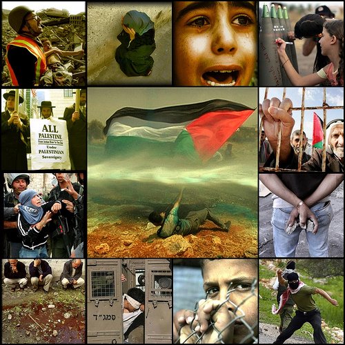 palestine*picture Palestine+4