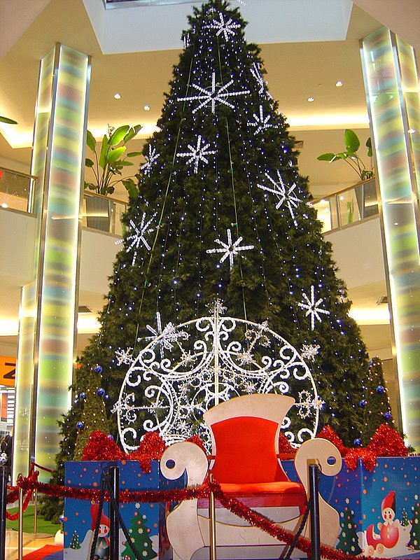 [DSC00073.jpg]