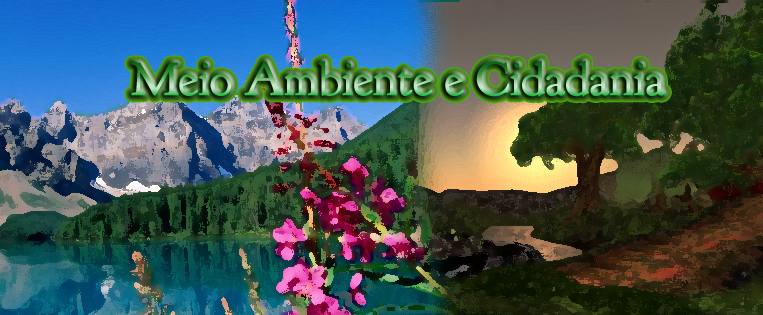 Meio ambiente e cidadania