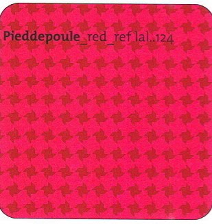 [PIEDDEPOULE+RED.jpg]