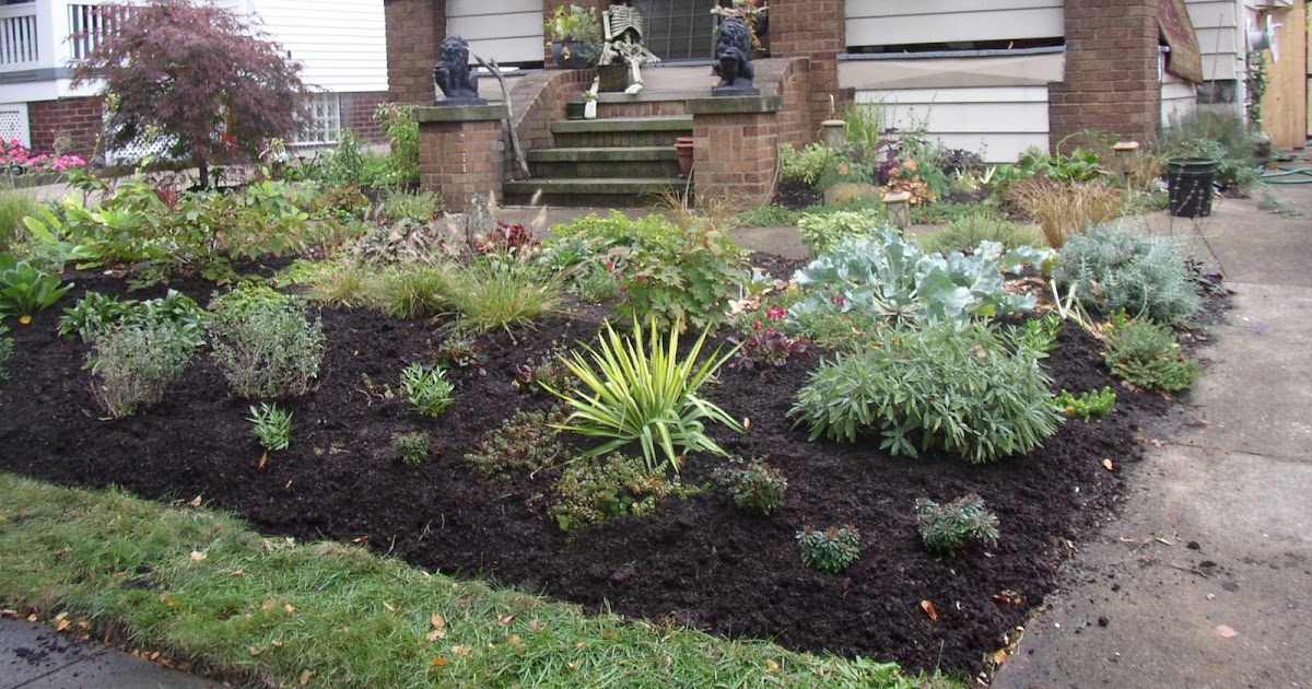 A Study in Contrasts: New Front Yard Garden