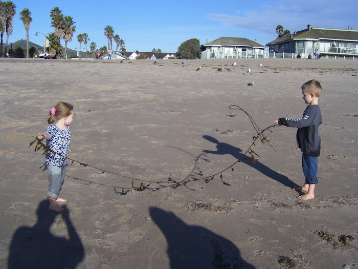 Seaweed tug-of-war