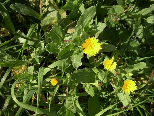 [PICT0312.JPG]