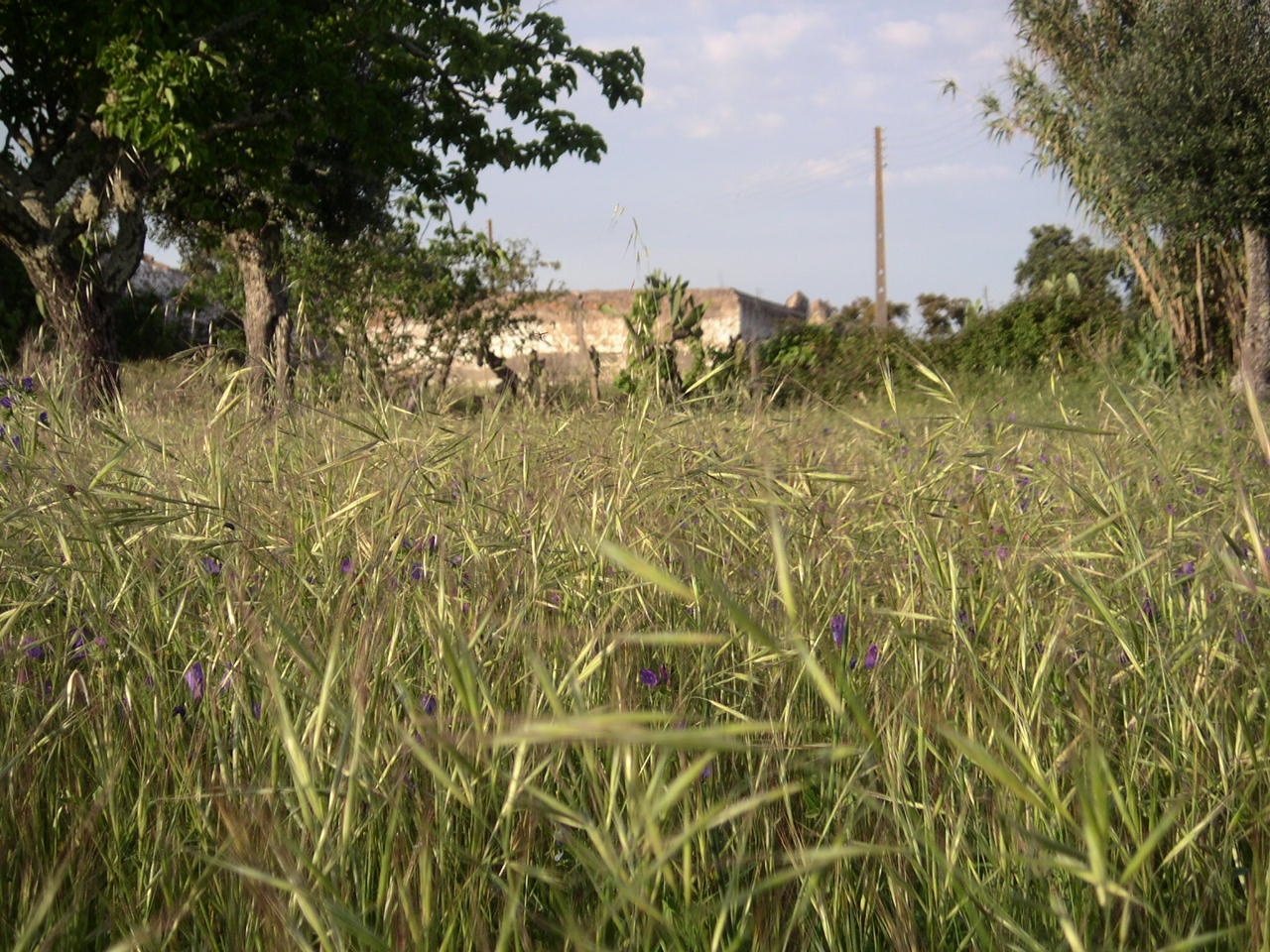 [PICT0216.JPG]