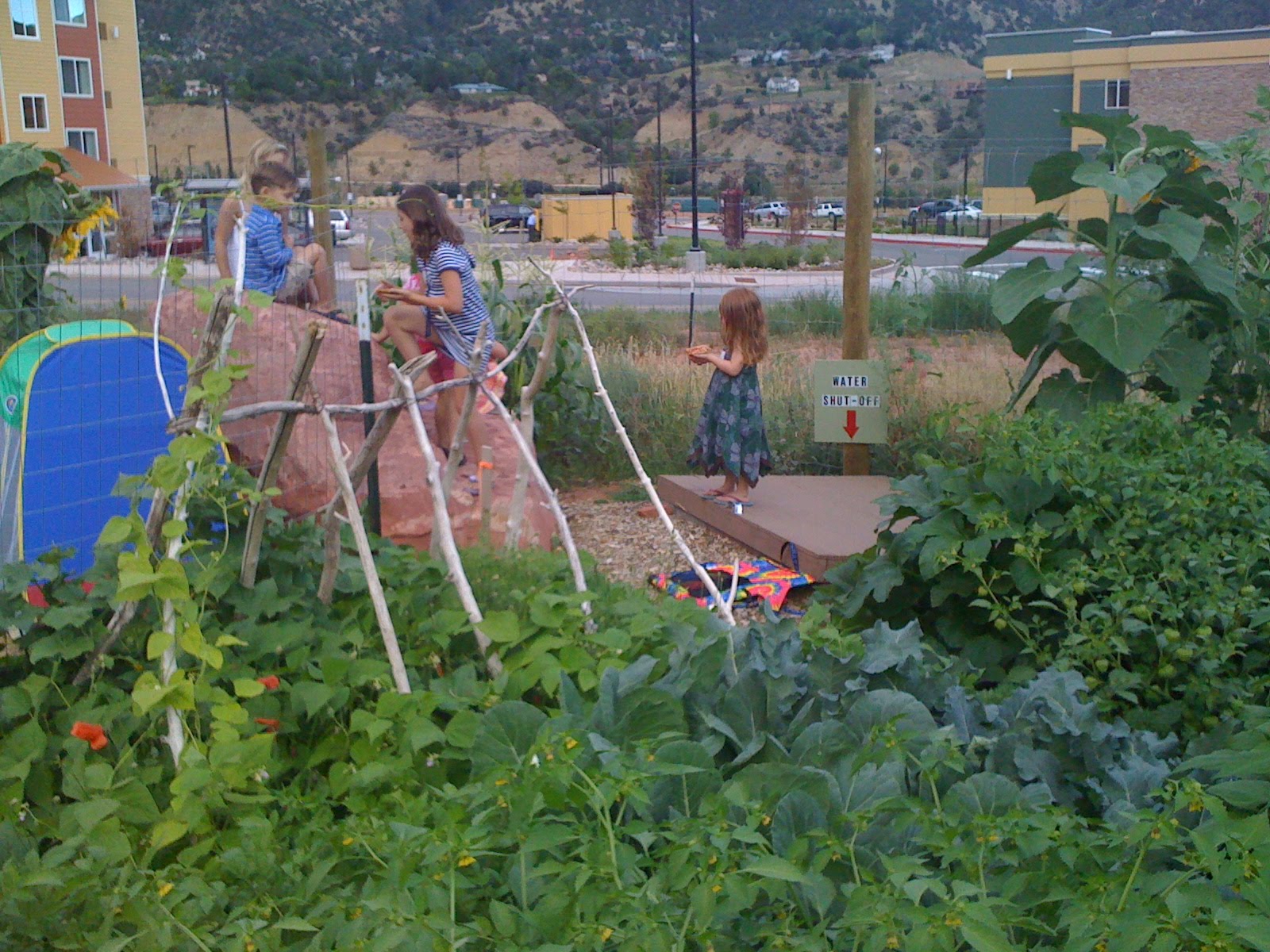 Mid Valley Community Garden Collective