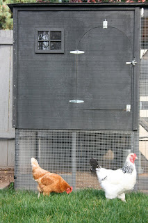 Stephmodo: a modern chicken coop - very nice design