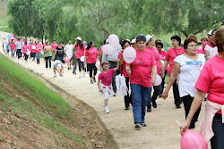 Parque Campolim se veste de rosa!