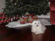 "Mindy" Christmas 2010
