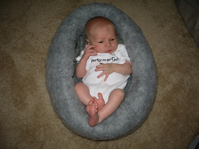 Chillin' in the cat bed