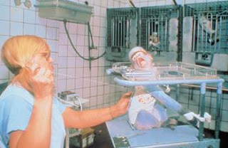 Cancer study on primate Cancer experiment on monkey