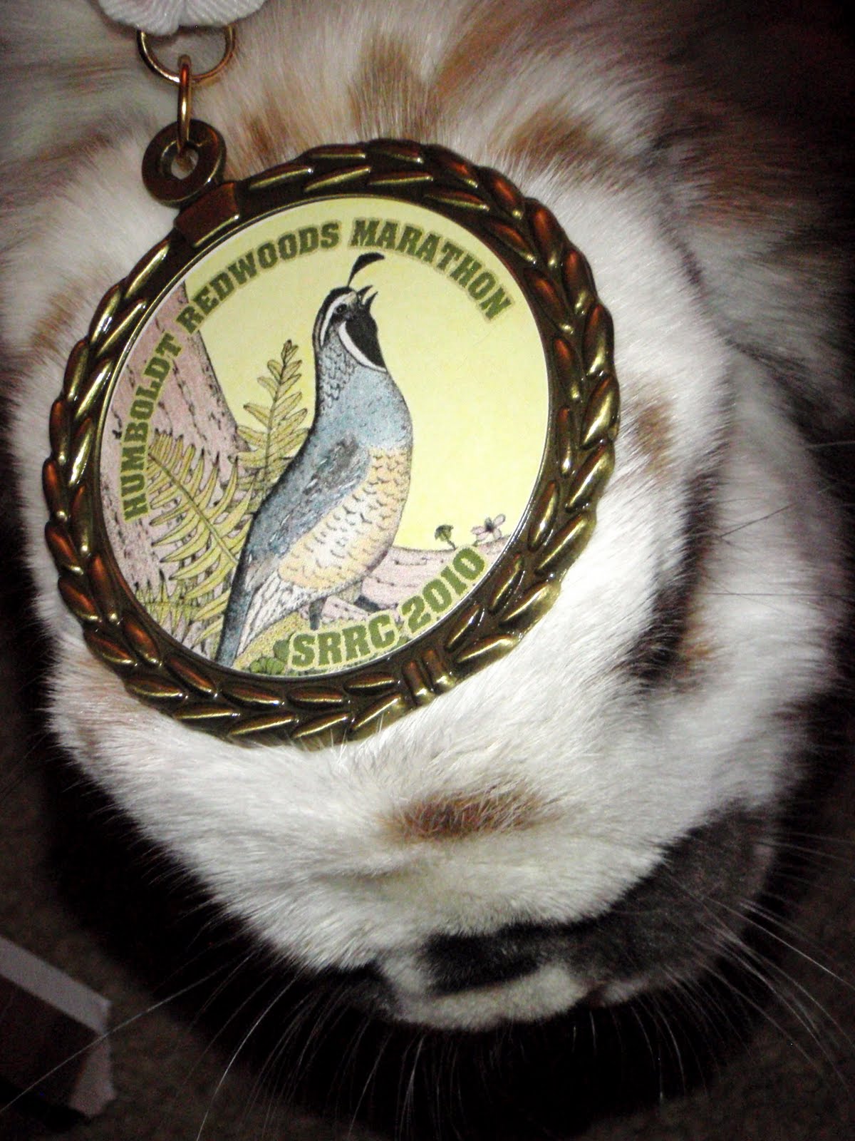 Humboldt Redwoods Marathon Alchetron, the free social encyclopedia