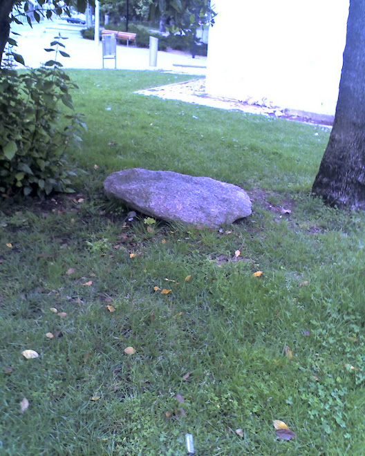 IMAGENS, pedra no jardim