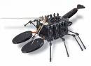 escorpion robot