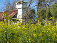 vines with mustard...glorious