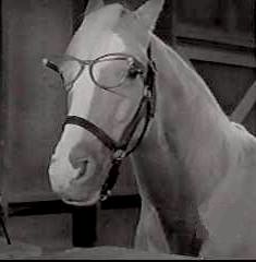 [MR ED.jpg]