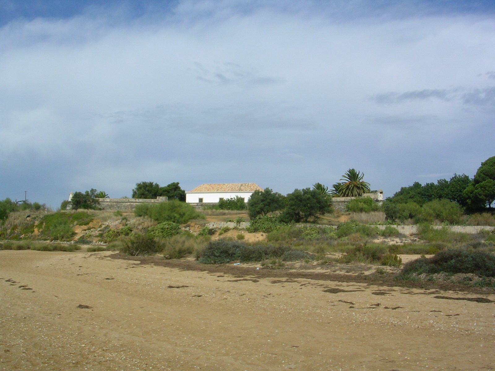 [DSCN0090.JPG]