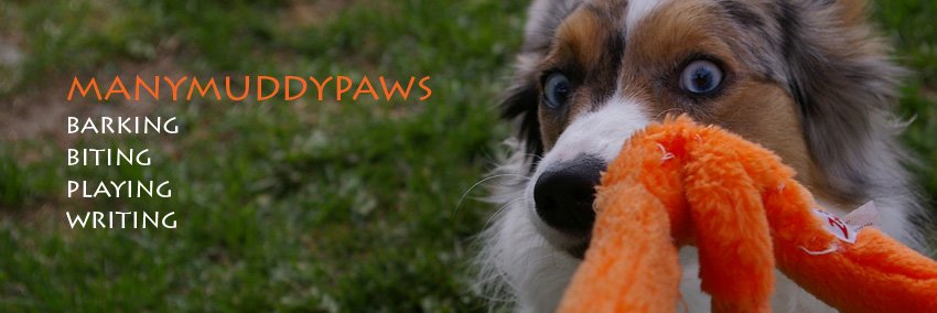 manymuddypaws