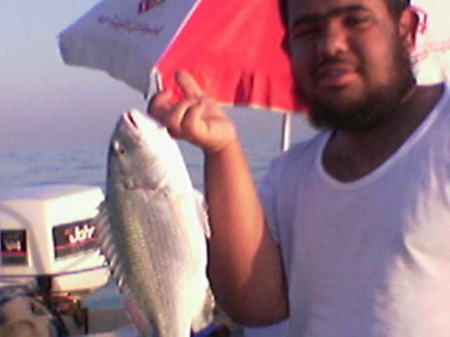 سبيطي حيشاني