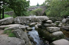 Dartmeet Devon