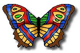 [butterfly1.bmp]