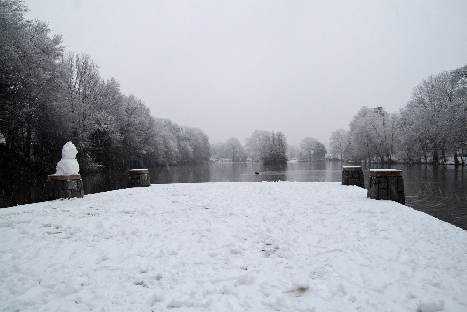 [Atlanta+Snowstorm+-+2010-02-13-7642.jpg]