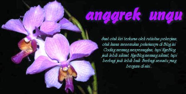 anggrek ungu