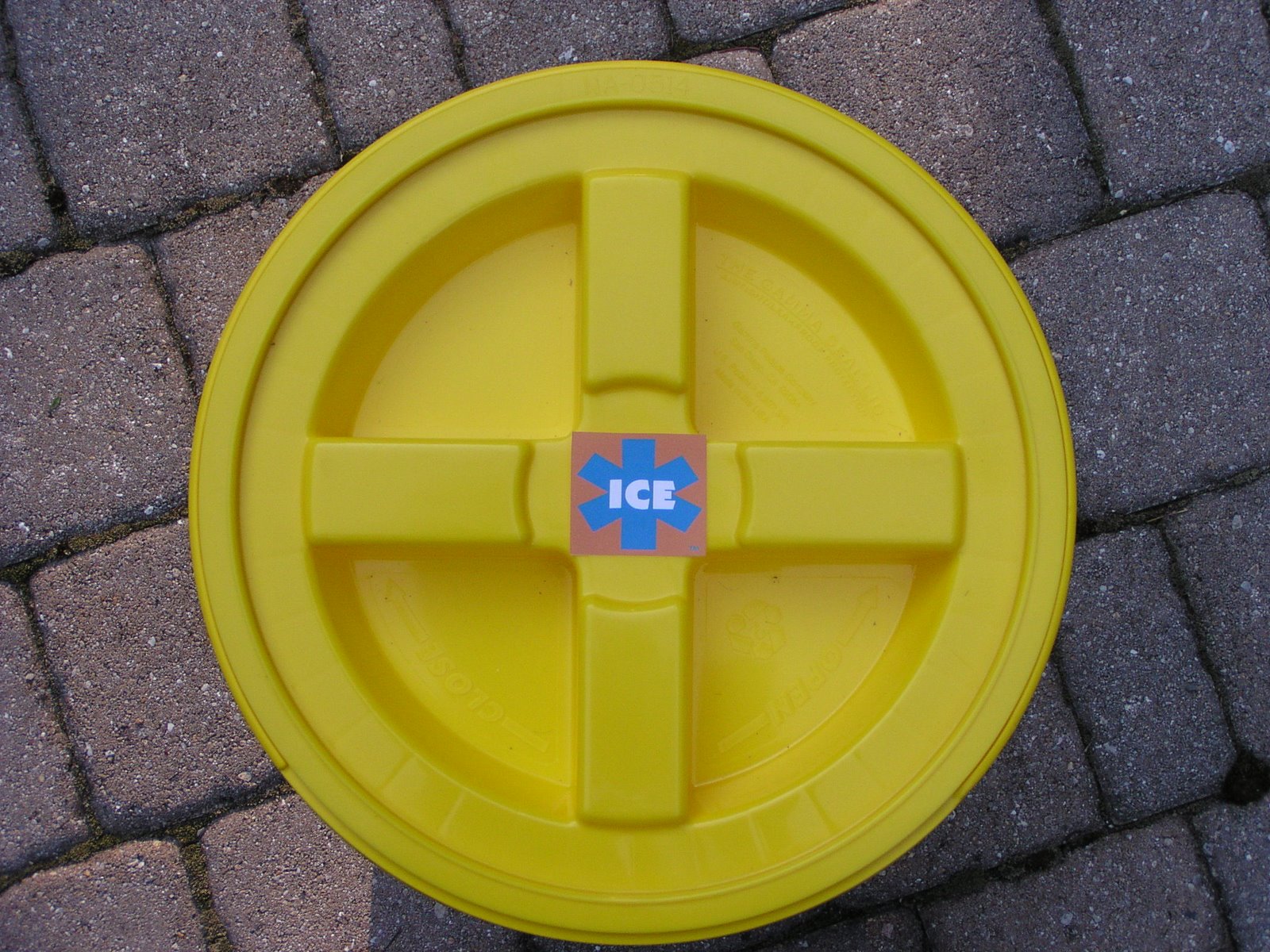 [ICE+Bucket+(1).JPG]