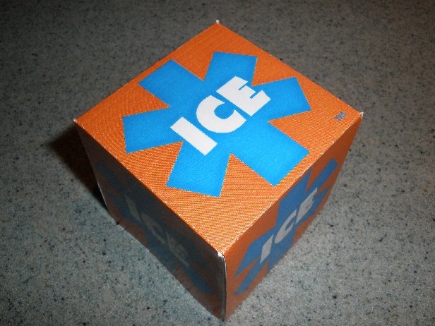 [ICECube1Web.JPG]
