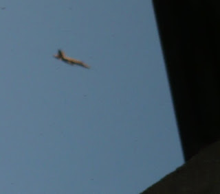 Get Zitate angoixa For Free Zitate Angoixa