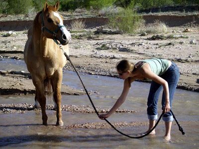 [lead_a_horse_to_water.jpg]