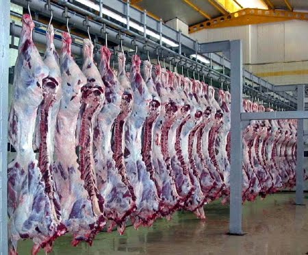 [slaughterhouse_29.jpg]